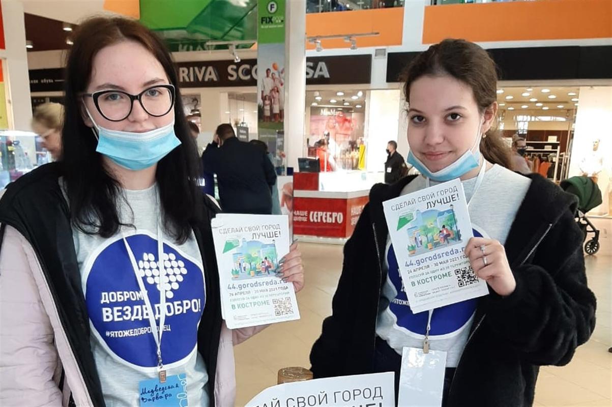 Костромичи активно голосуют за территории для благоустройства