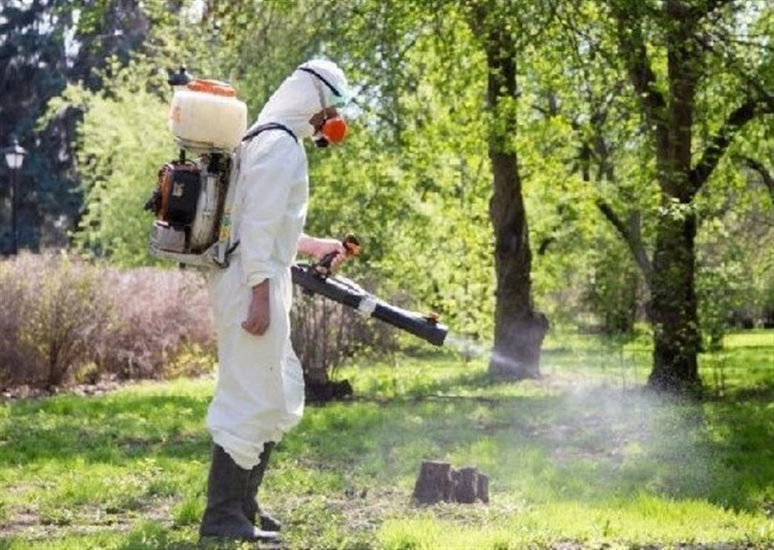 В Костроме завершились акарицидные обработки зеленых территорий