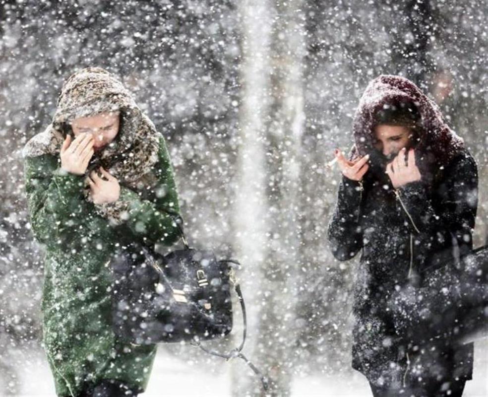 Синоптики пообещали костромичам снегопад и усиление ветра