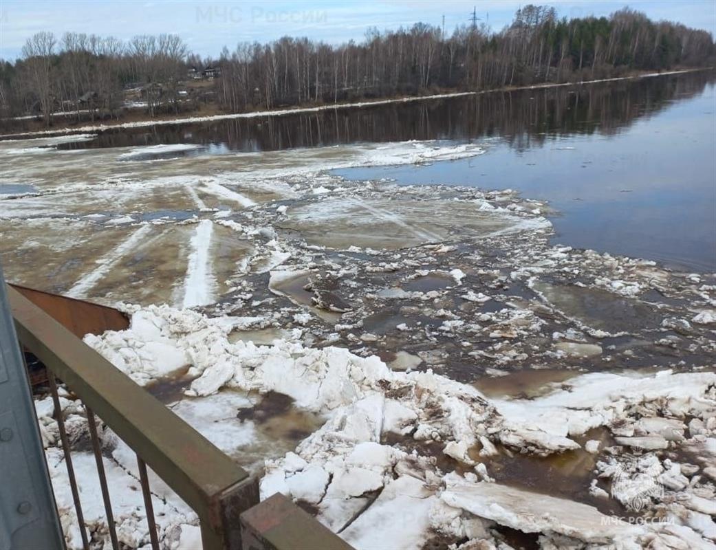 На костромских водоёмах не осталось безопасного льда