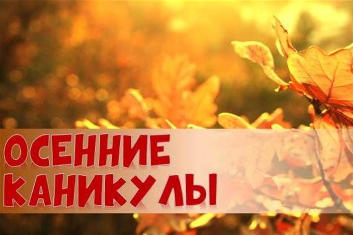 Костромских школьников на каникулах ждут видео-концерты и виртуальные экскурсии
