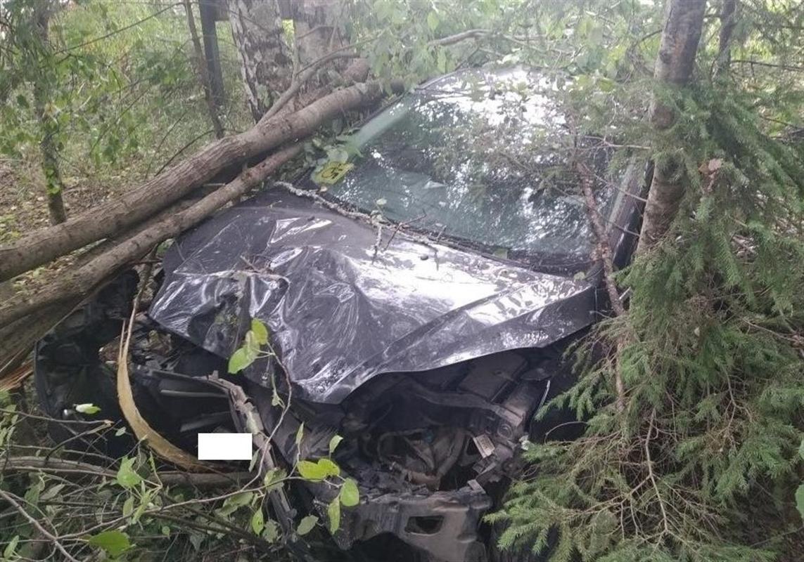 В выходные костромские автолюбители сбивали велосипедистов и съезжали в кювет