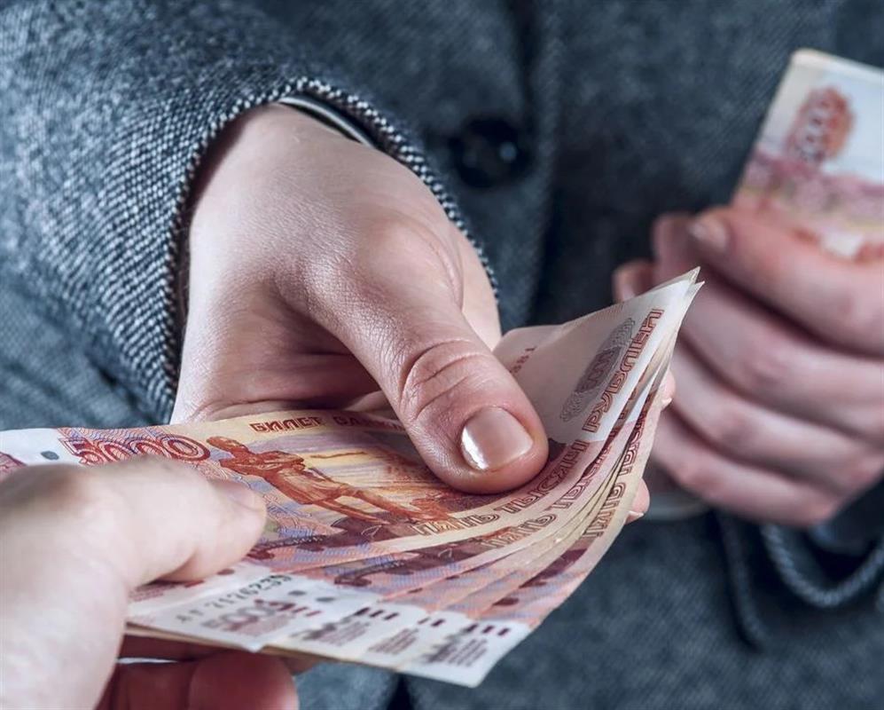 Пожилая костромичка поверила аферистке в панаме и отдала полмиллиона рублей