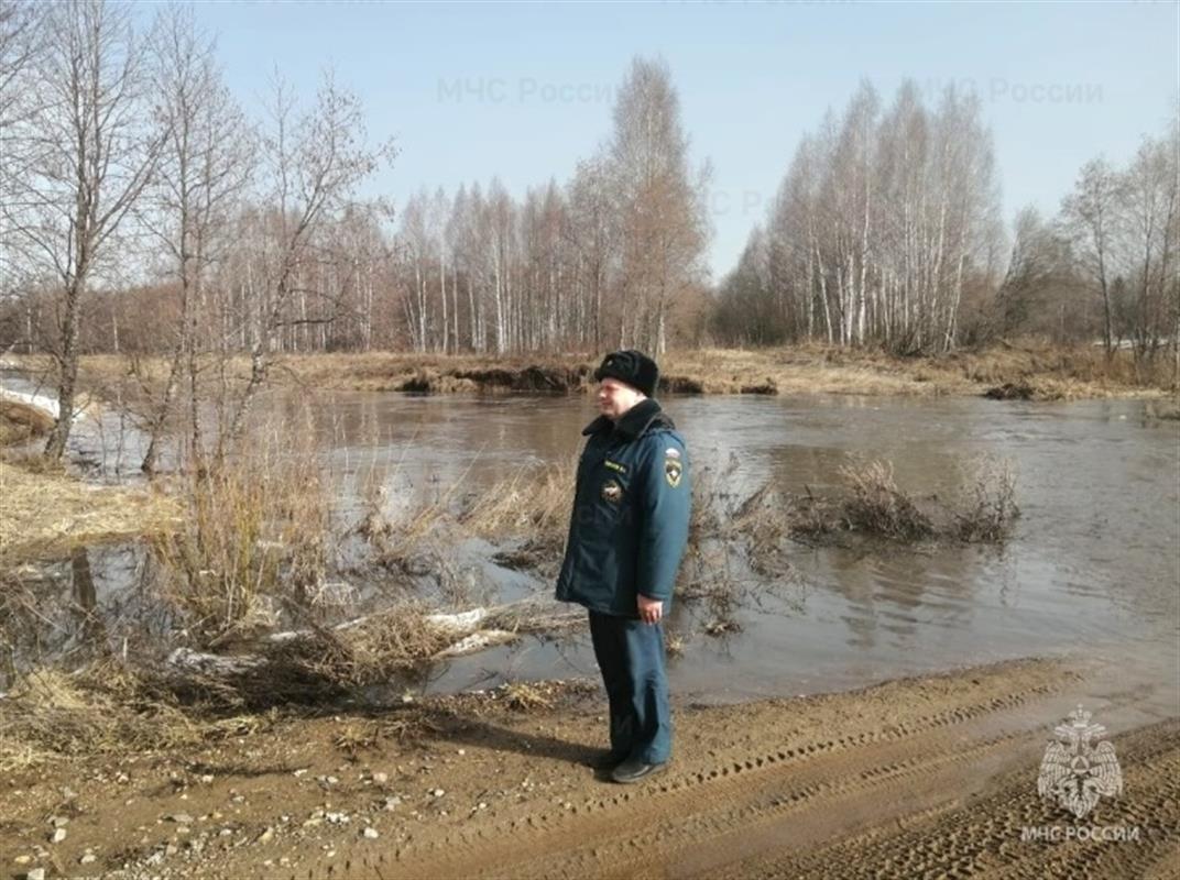 За развитием паводка в Костромской области следят оперативные группы
