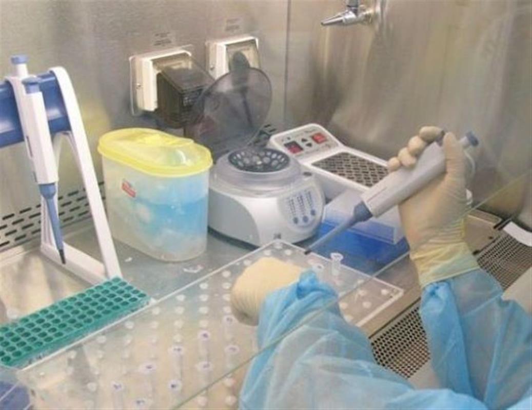 В Костромской области может появиться собственный знак качества
