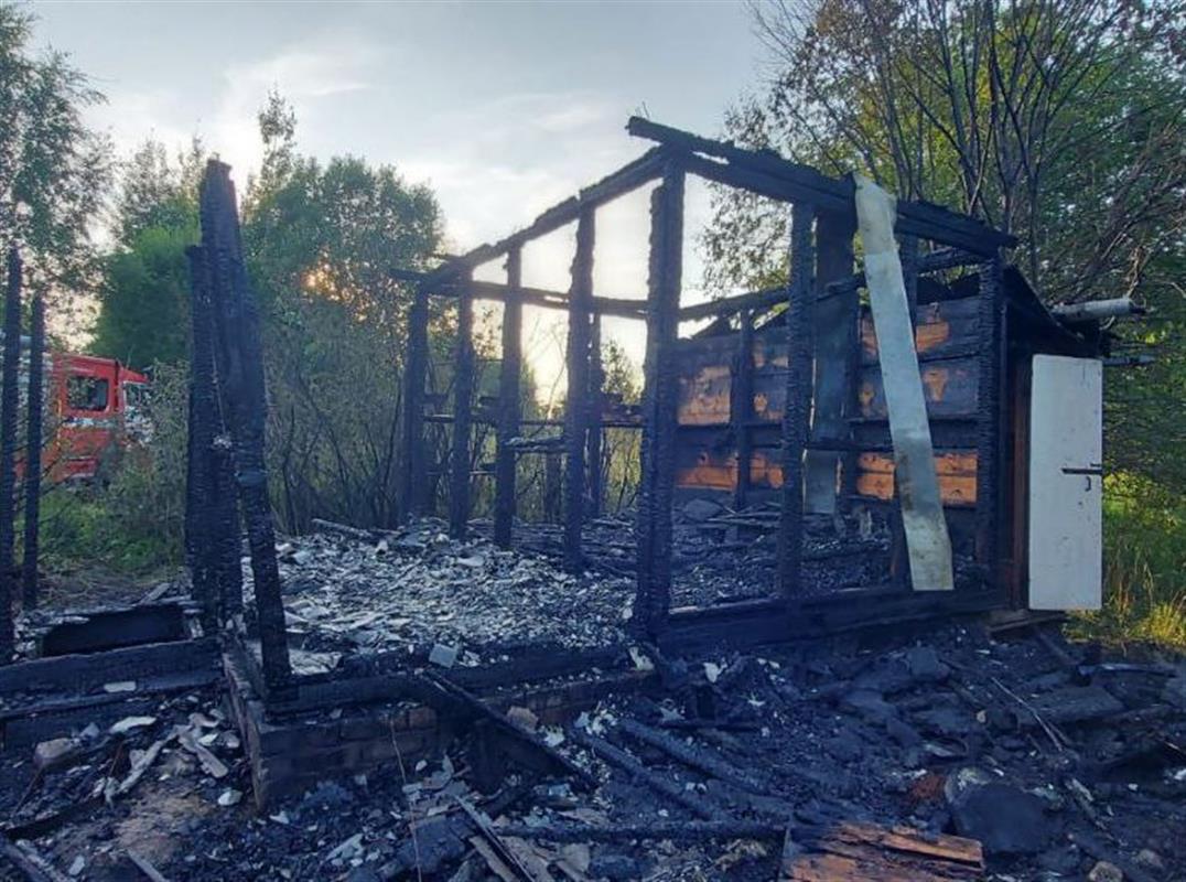В костромском СНТ огонь полностью уничтожил дачный дом