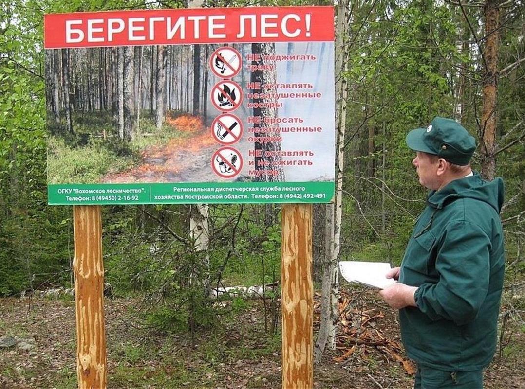 Из-за жары костромские леса патрулируют в усиленном режиме
