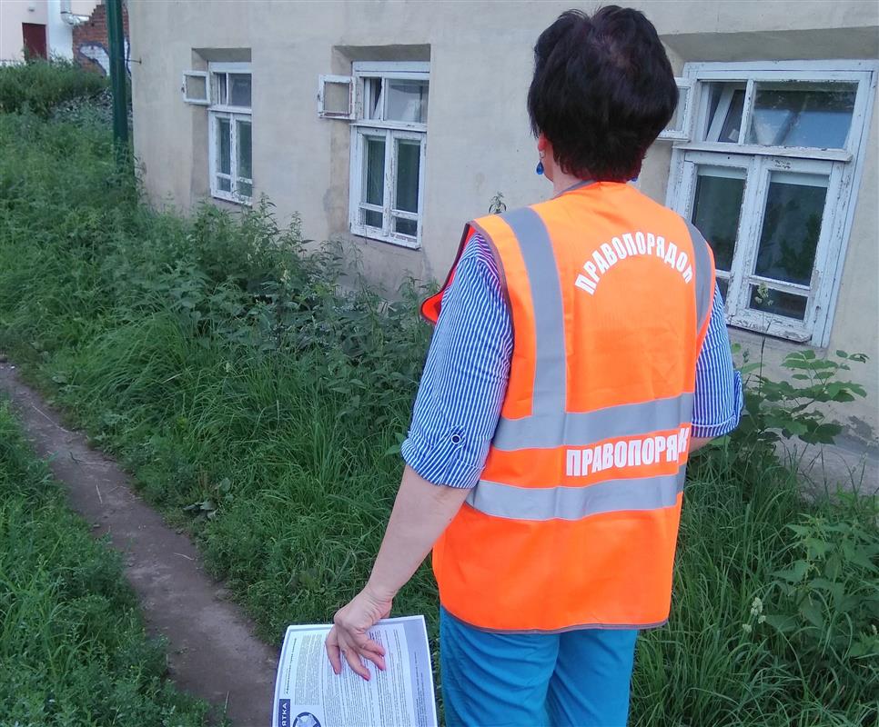 Профилактика АЧС: в частном секторе Костромы ищут хозяйства с поголовьем свиней