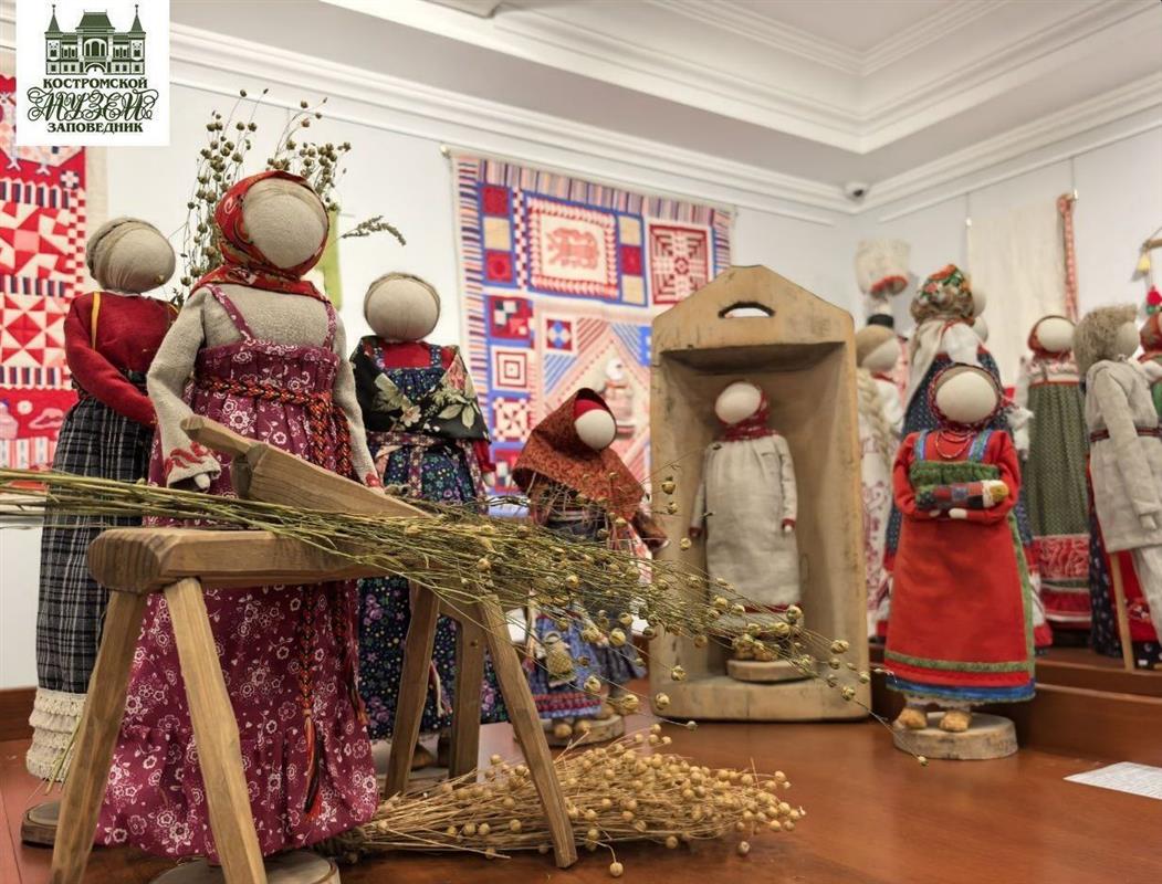 Открылась выставка, посвящённая растению, вошедшему в историю Костромского края
