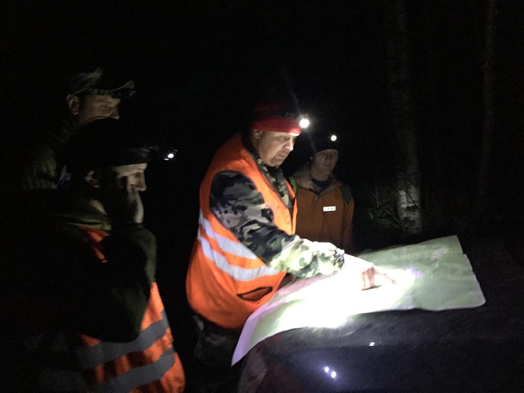 Добровольцы «Лиза Алерт» просят помощи в поисках пропавших людей