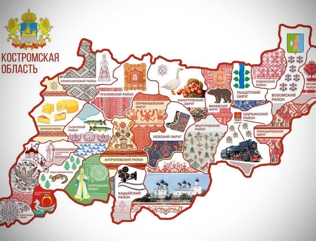 В День города и области костромичи увидят вышитую карту региона
