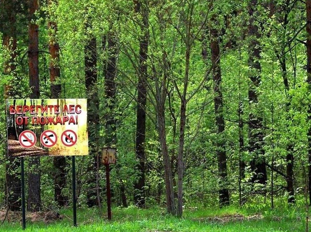 Костромичей предупредили о высоком классе пожарной опасности в выходные дни