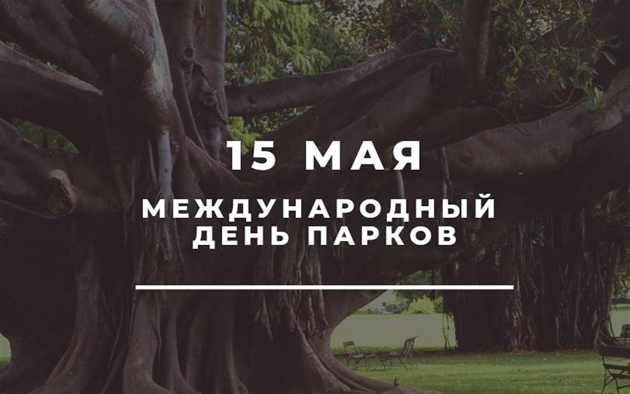 Костромичей приглашают за хорошим настроением в городские парки