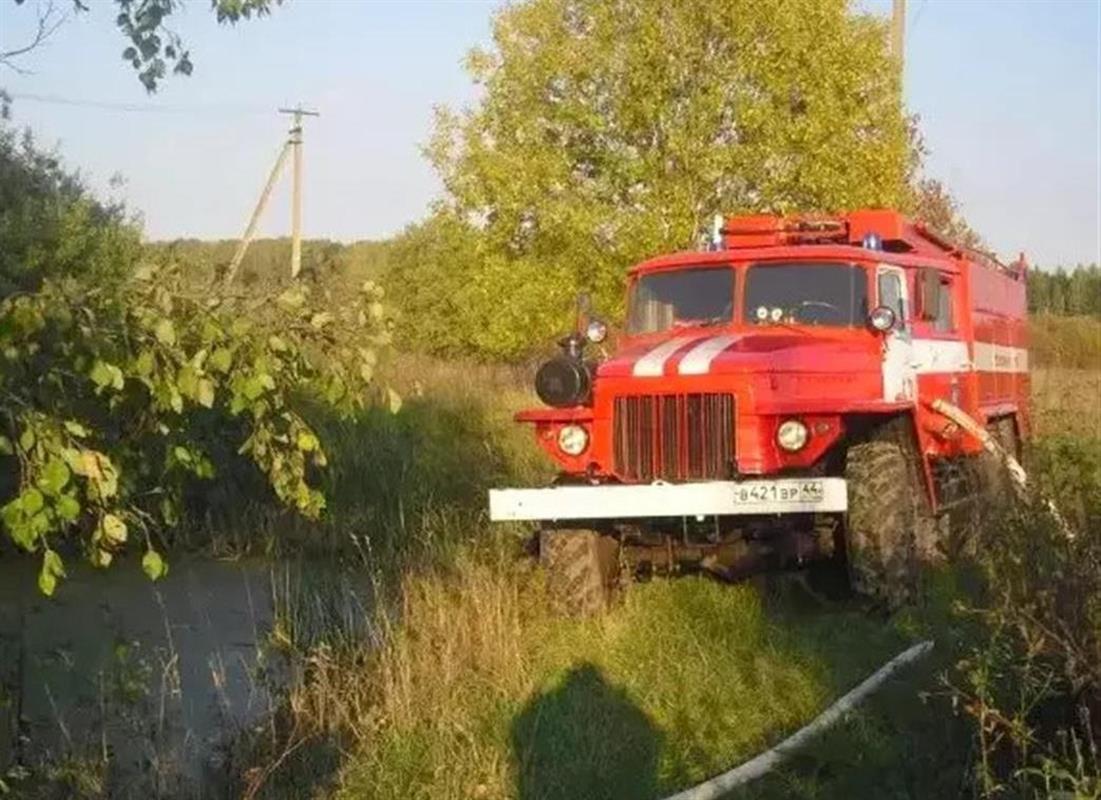 Костромич заплатит большой штраф за нарушение правил пожарной безопасности в лесу