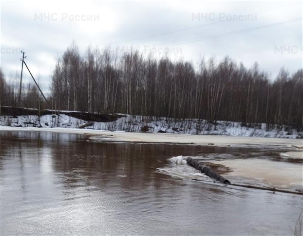 На костромских реках продолжает развиваться весеннее половодье
