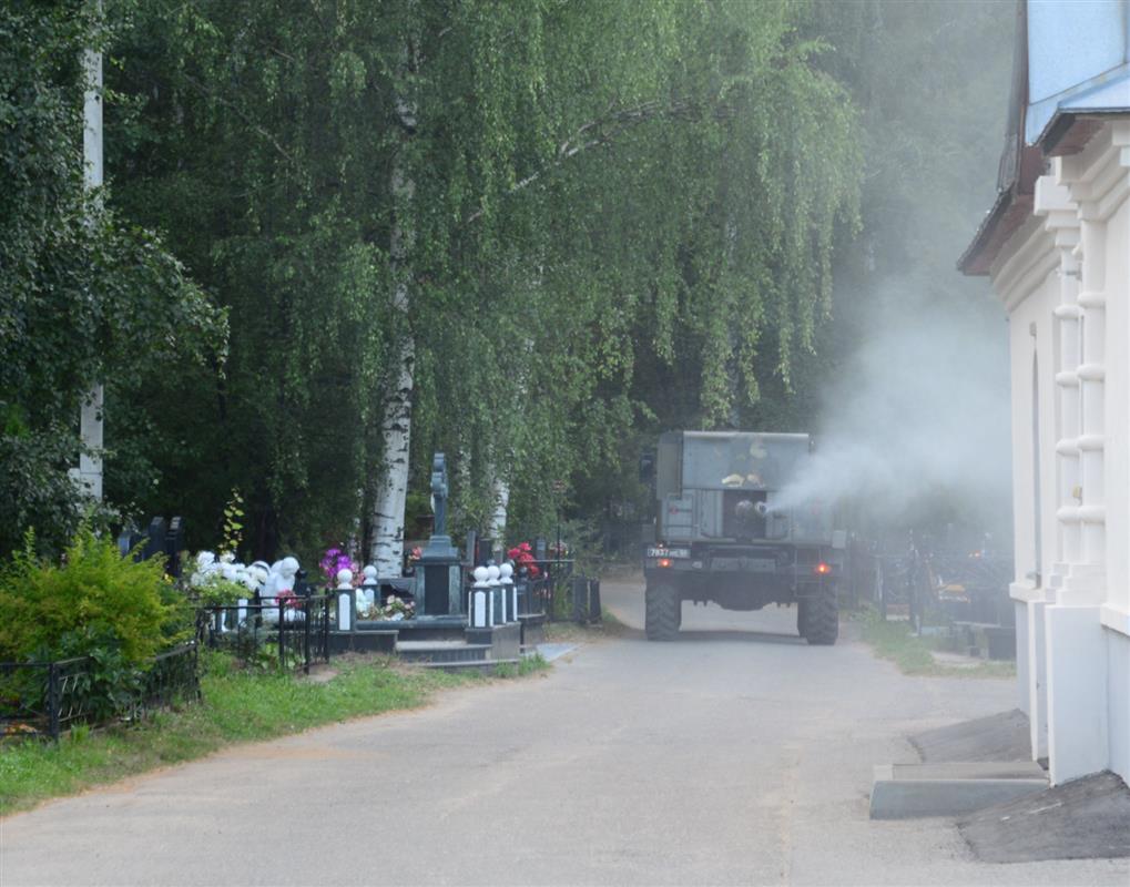 В Костроме начинается акарицидная обработка городских кладбищ