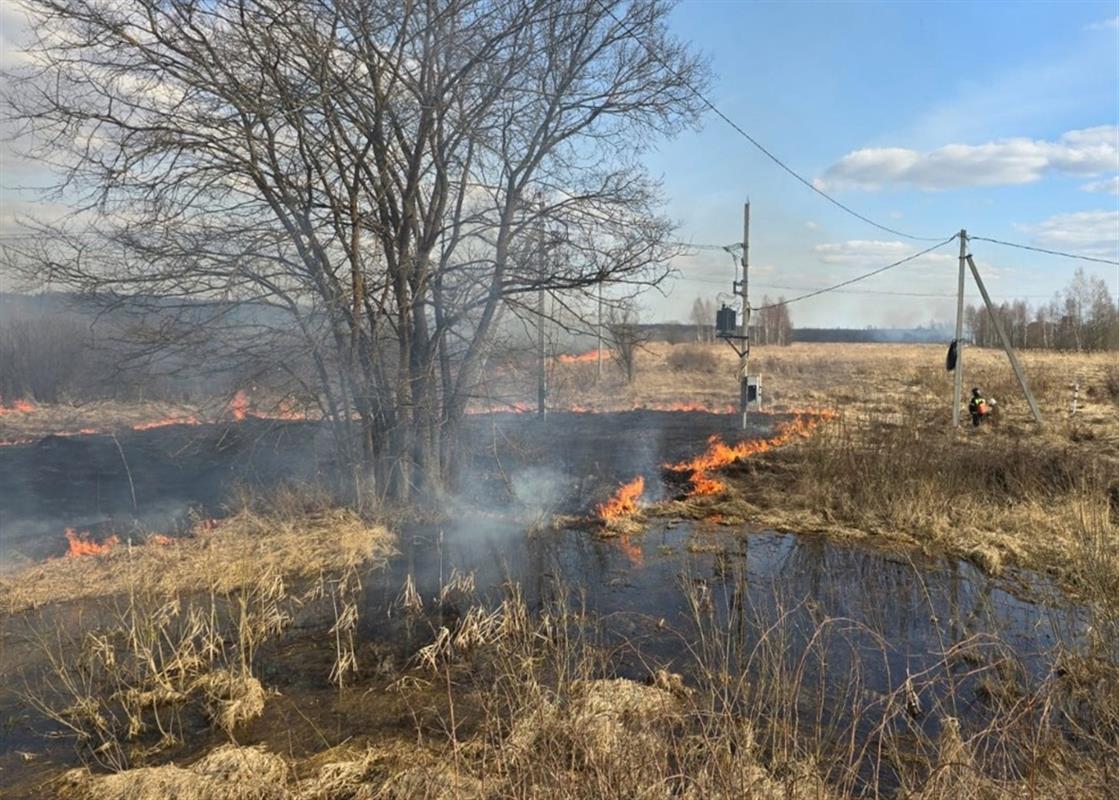 Всего за одни сутки костромские пожарные потушили 7 палов сухой травы