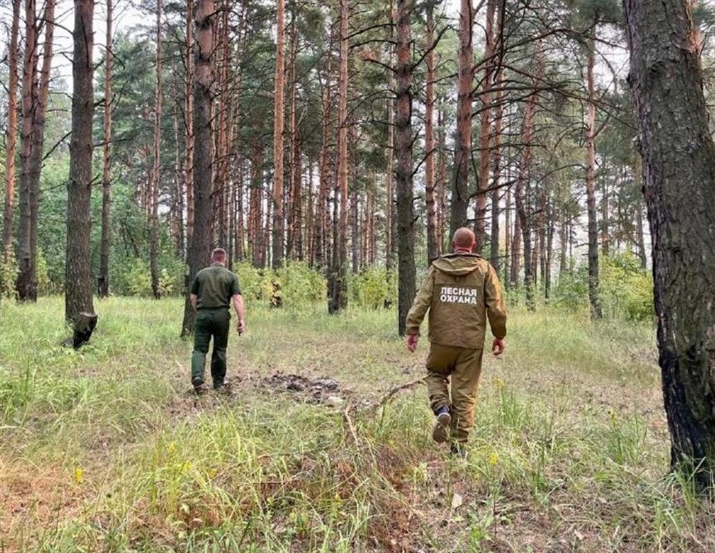 В ближайшие дни в Костромской области ожидается высокий класс пожарной опасности
