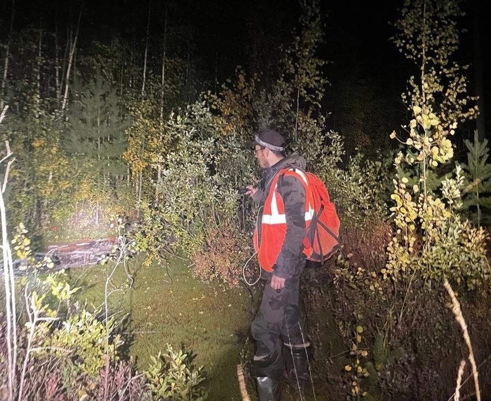 Заблудившийся в лесу пожилой костромич нашелся спустя трое суток
