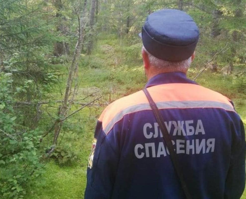 Заблудившуюся в лесу 82-летнюю костромичку нашли живой