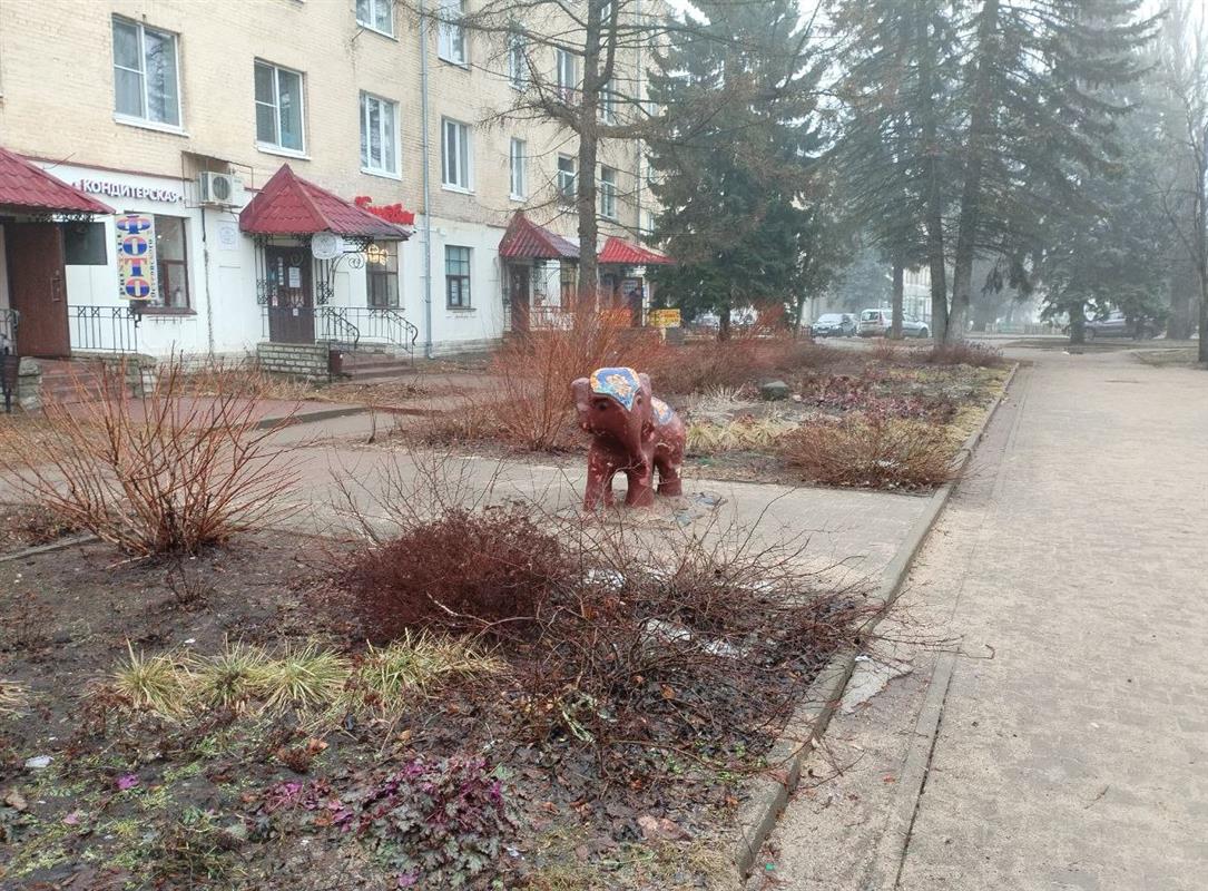 Костромичам показали проект благоустройства сквера со слоном