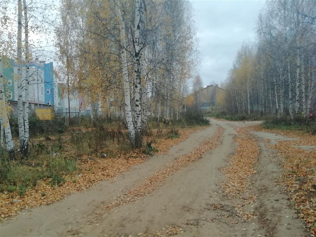 В микрорайоне Новый город начинается строительство автомобильной дороги 