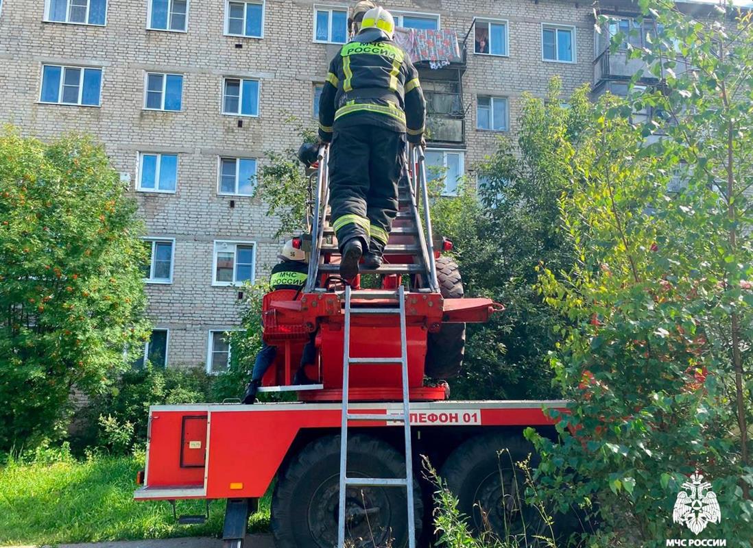 Костромские сотрудники МЧС спасли 5-летнего ребёнка при помощи автолестницы