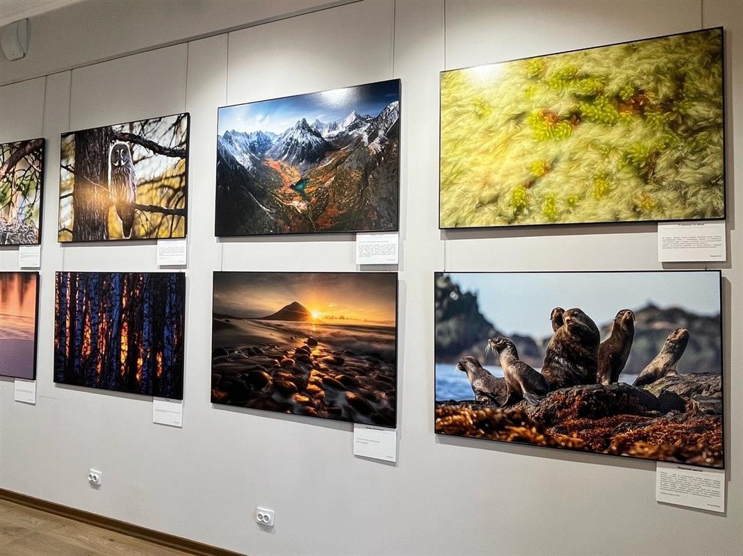На новой фотовыставке костромичи увидят красоту «Первозданной России»