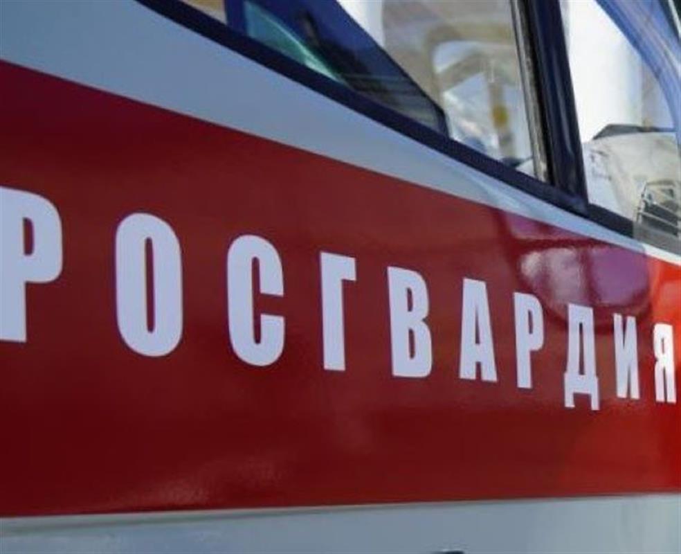 Костромич нашёл в своём сарае тротиловую шашку