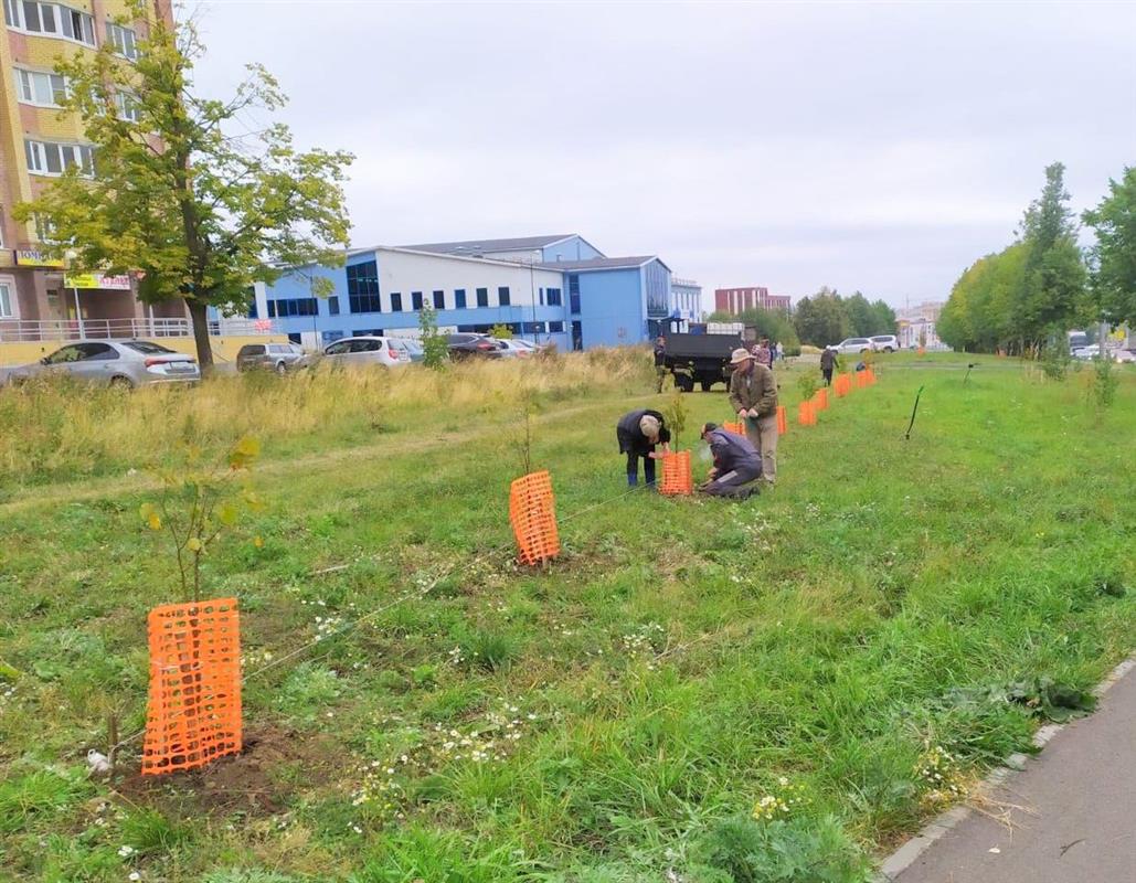 В Костроме высадили еще более тысячи молодых деревьев и кустарников