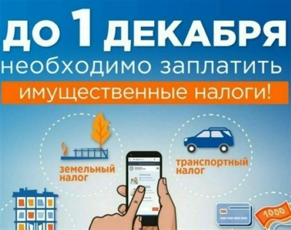 Костромичам напоминают о необходимости заплатить имущественные налоги
