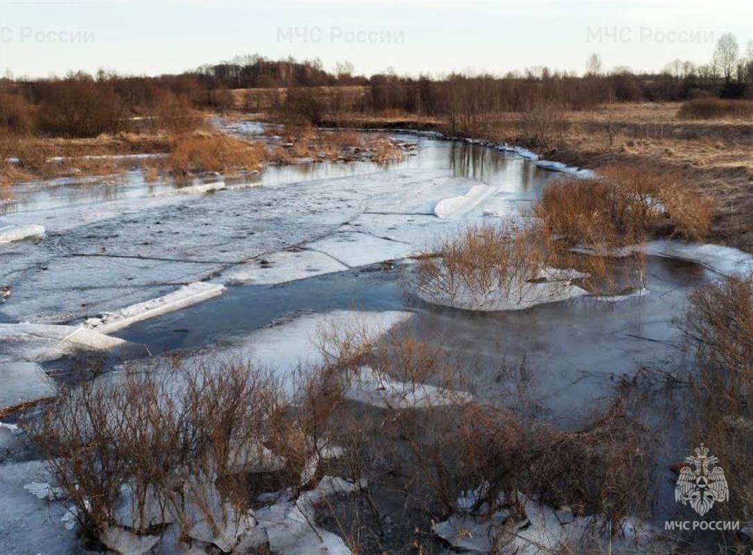 Костромичей предупреждают о запрете выхода на лёд водоёмов
