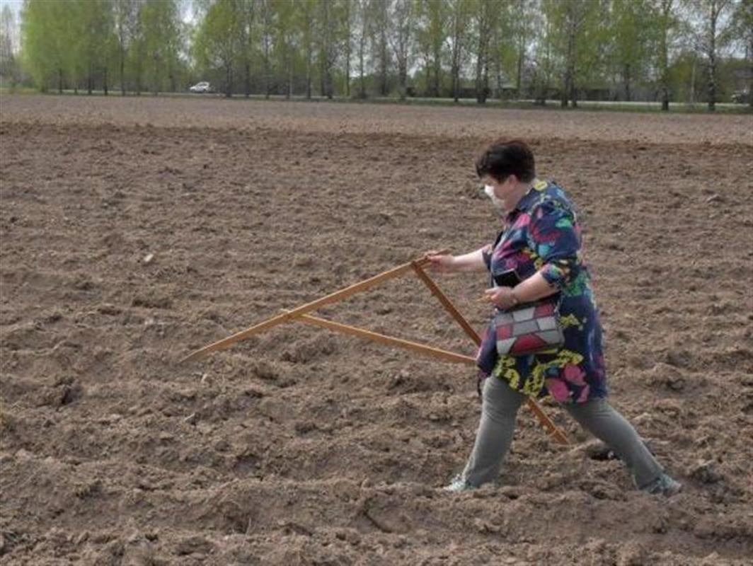 За землей под картошку обратились уже 140 семей.