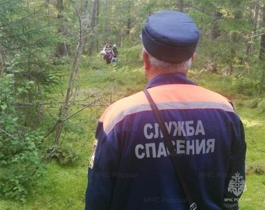 Грибники уже начали теряться в костромских лесах
