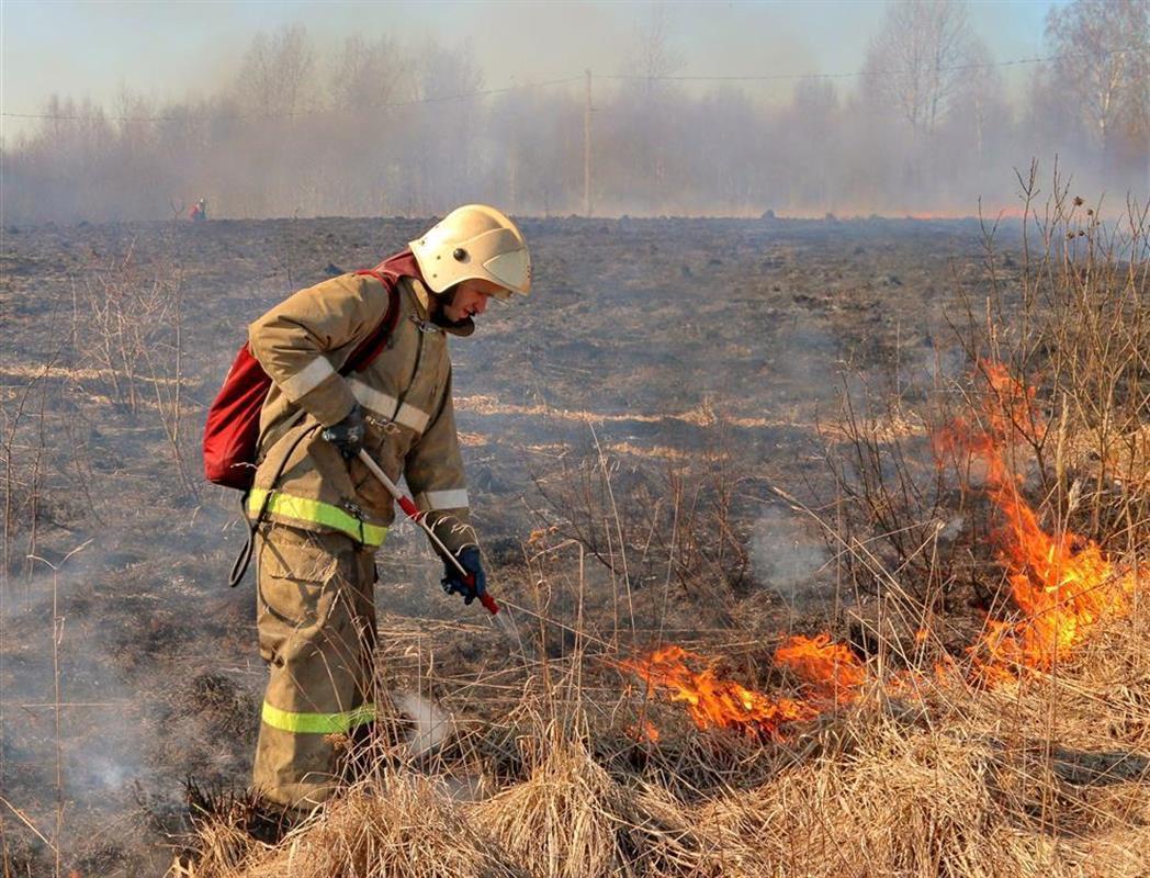 Житель Костромского района заплатит штраф за пал травы