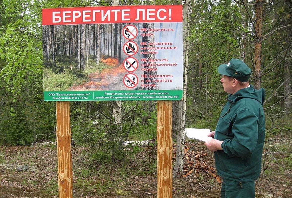 В Костромской области снят особый противопожарный режим