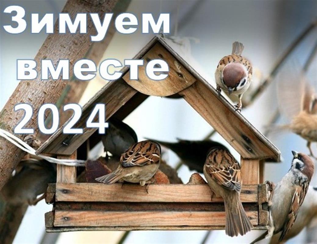 В Костромской области объявлен добрый конкурс «Зимуем вместе»