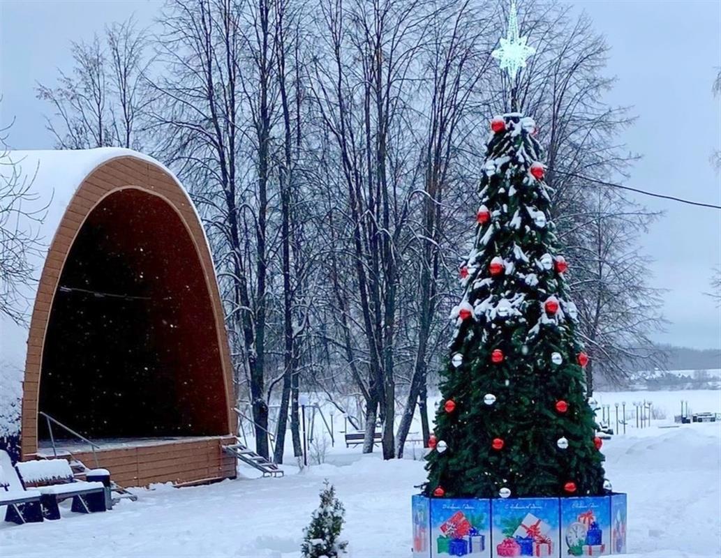 Костромские парки приглашают на новогодние представления