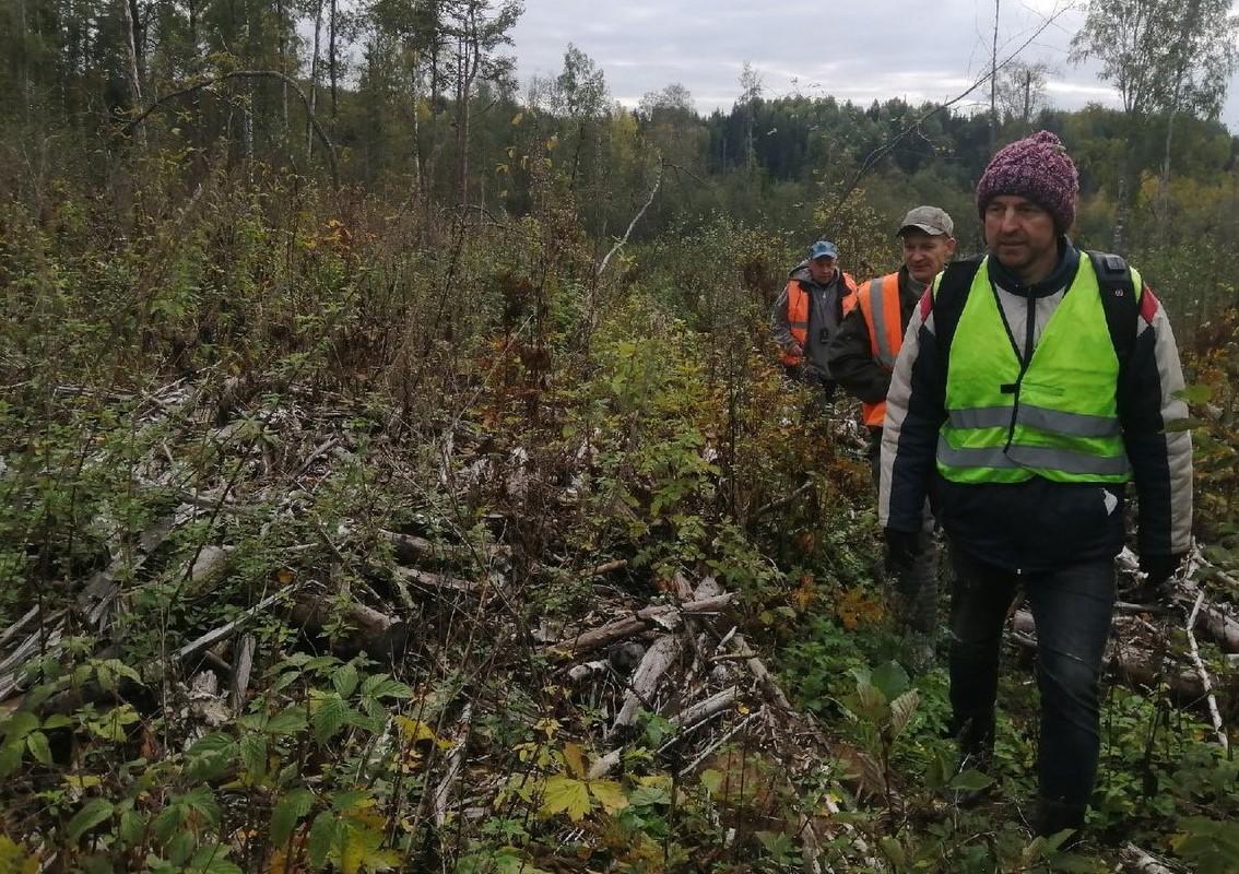 В Костромской области третью неделю ищут пропавшего пожилого мужчину