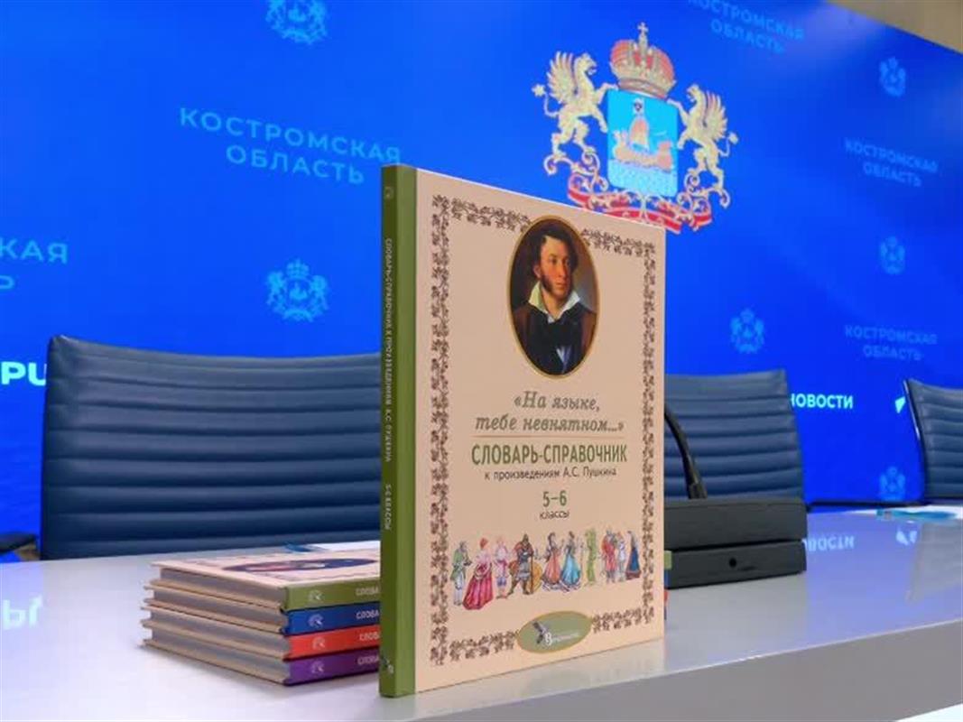 Юные костромичи будут изучать литературу с помощью уникальных словарей - справочников
