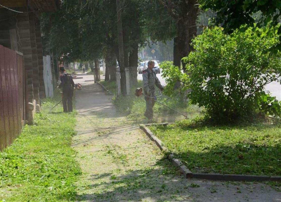 На костромских улицах, в парках и скверах проводят окосы травы
