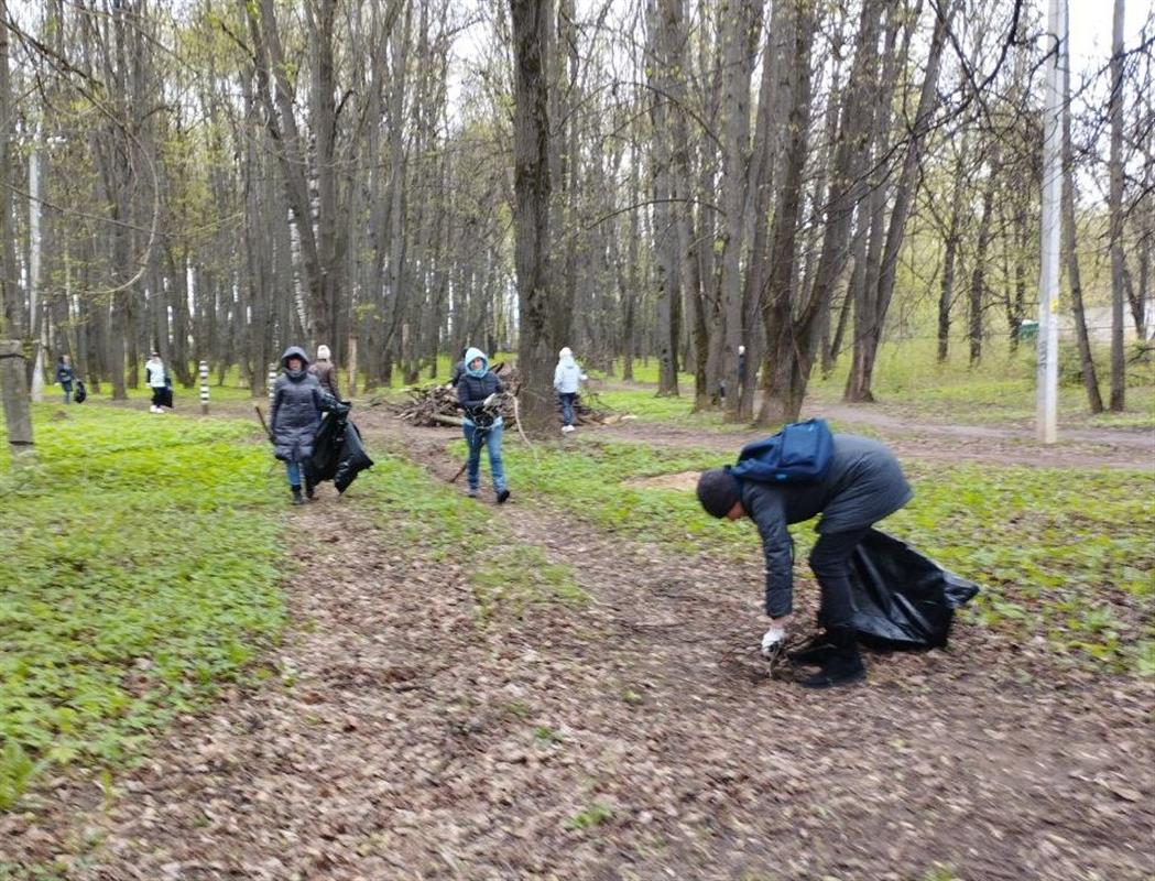 Участники общероссийского субботника привели в порядок более 50 территорий в Костроме
