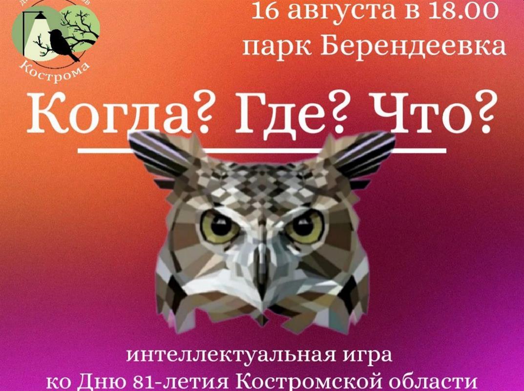 Зарядки, концерты, творческие фестивали, интеллектуальные игры: выходные в парках Костромы
