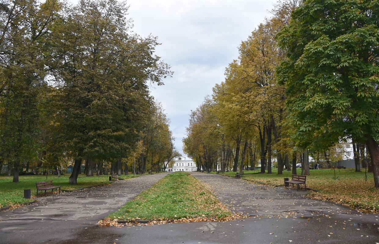 Благоустройство парка «Центральный» начнется в следующем году