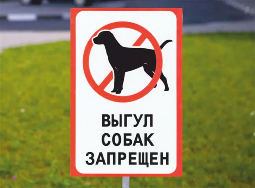 В Костроме штрафуют владельцев собак