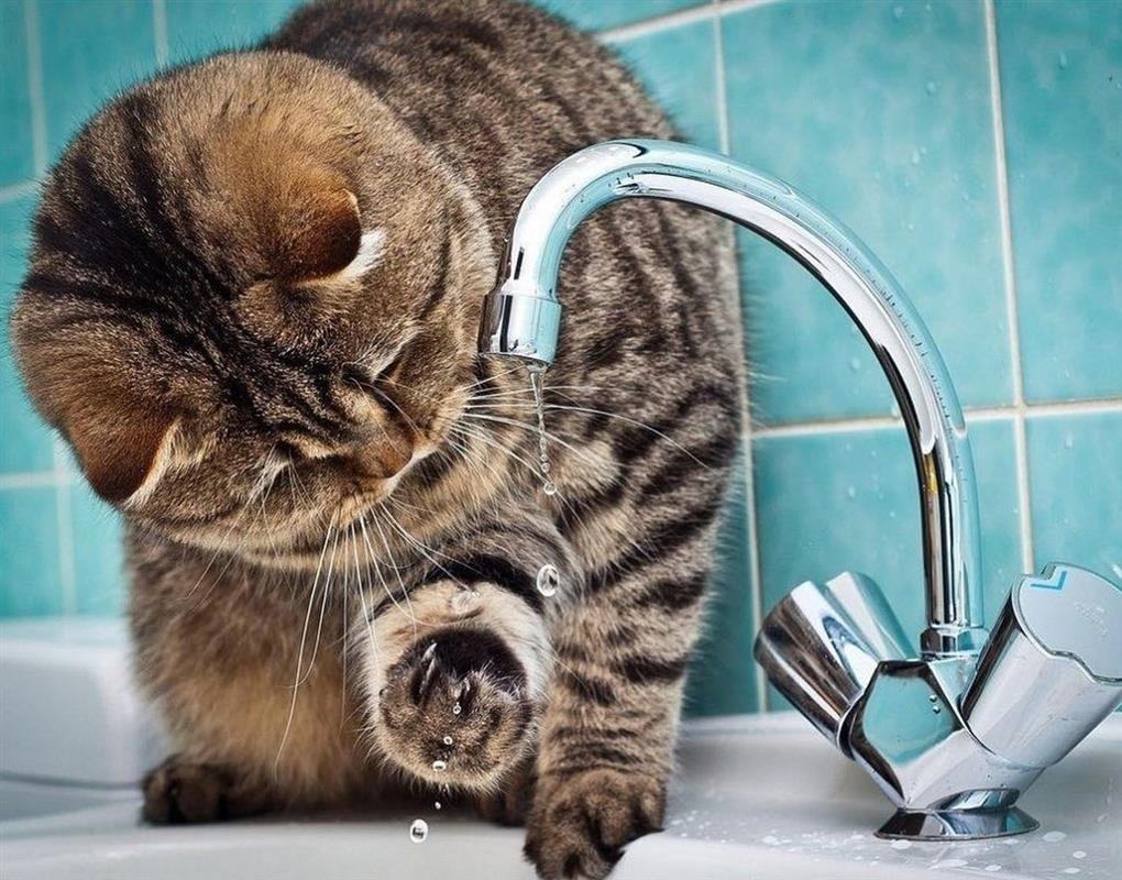 Завтра вечером часть Костромы останется без холодной воды  