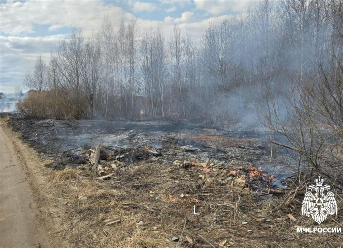 Костромские пожарные ежедневно выезжают на тушение палов травы
