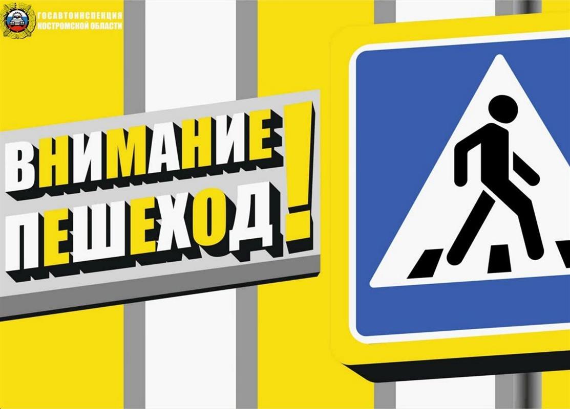 Автоинспекторы проверят, как водители и пешеходы соблюдают правила на костромских дорогах 