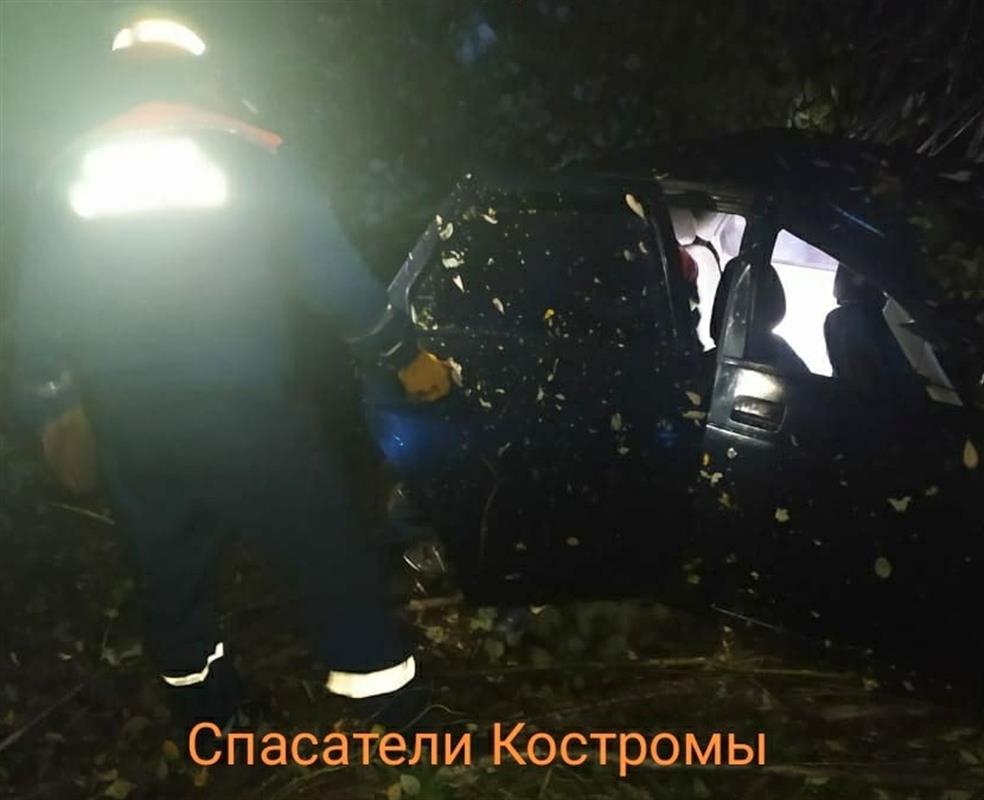 В Костромском районе водитель погиб в ДТП с лосем
