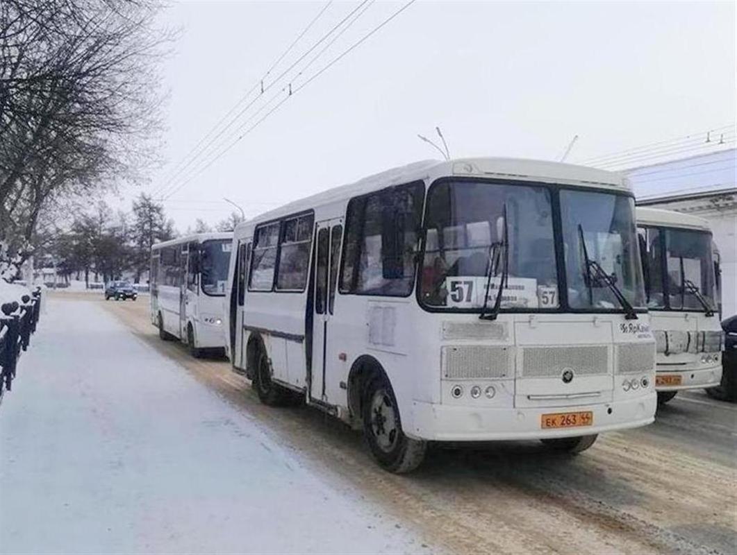Пожаловаться на работу общественного транспорта костромичи могут на «горячую линию»